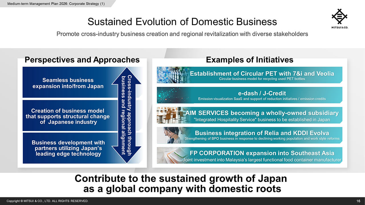 Sustained Evolution of Domestic Business