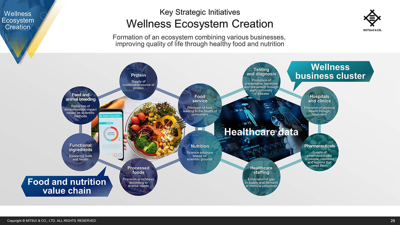 Wellness Ecosystem Creation (2)