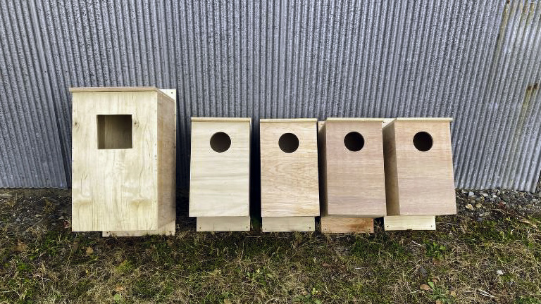 Hokkaido: Installation of owl nesting boxes