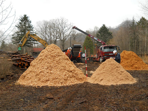 Woodchip processing in a forest area
