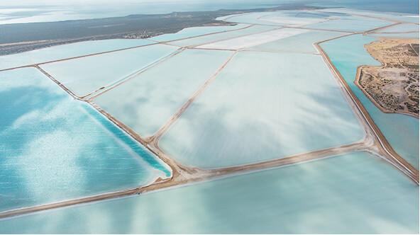 Shark Bay Salt