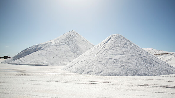 Shark Bay Salt