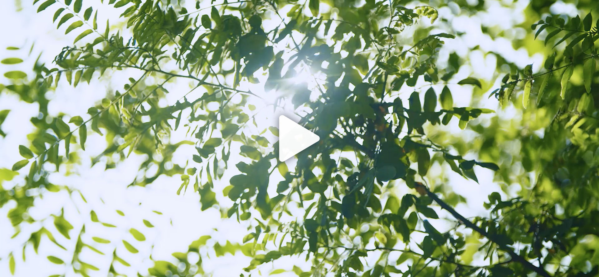 三井物产株式会社东亚Bloc（北京・上海・广州・香港・台湾各Unit）