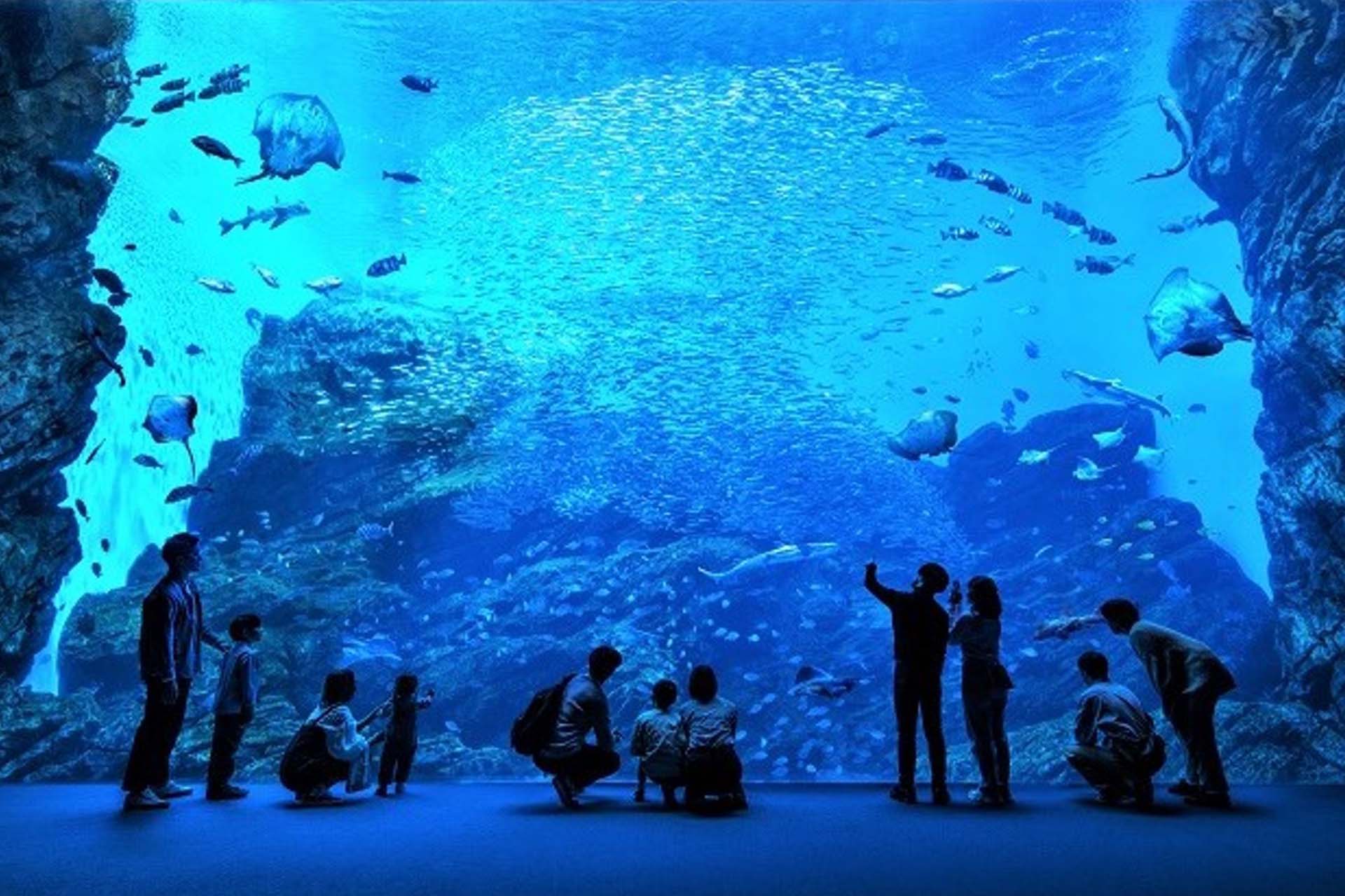 水族館で地域のあしたをつくる