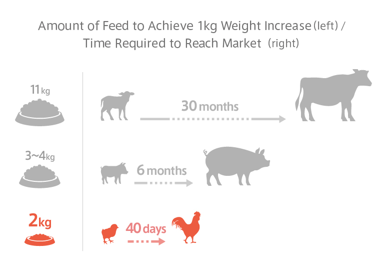 Amount of Feed to Achieve 1kg Weight Increase (left) / Time Required to Reach Market (right)
