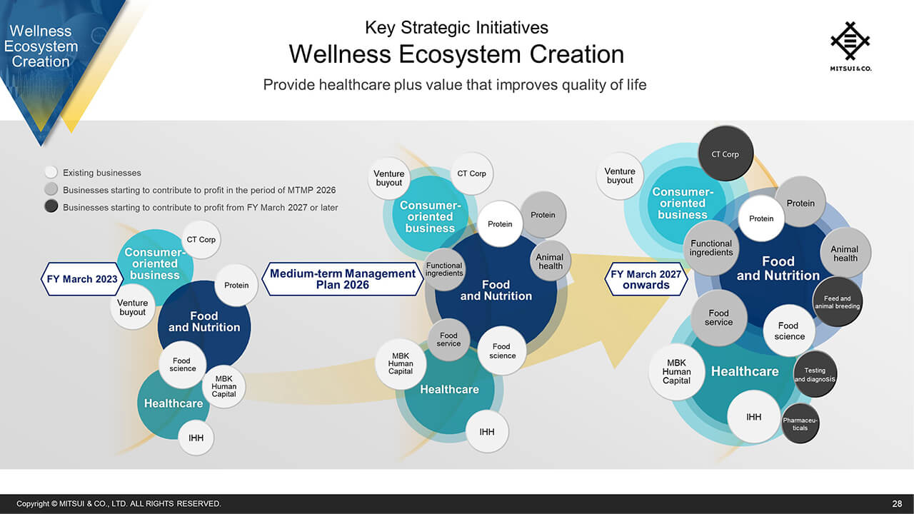 Wellness Ecosystem Creation (1)