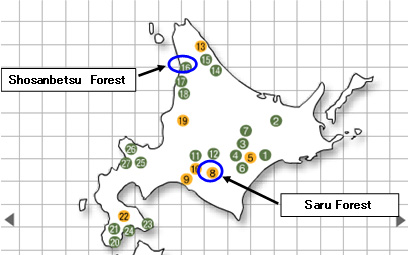 Mitsui's Company-owned Forests in the Hokkaido Area