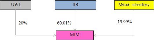 Investment Structure