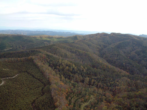 The Niwan Forest in Hokkaido (owned by Mitsui)