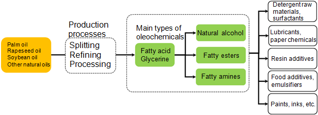 Standard Oleochemical Production Processes and their Principal Applications