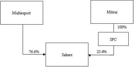 Investment Structure