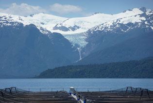 Seawater farming site