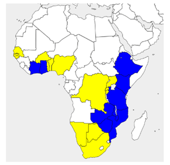 ETG's subsidiary locations (Blue: 10 or more locations, yellow: less than 10 locations)
