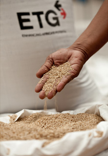 ETG's product: sesame