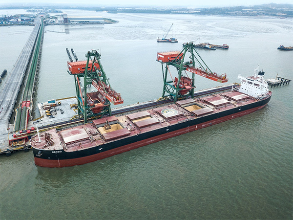 Grain Import Facility