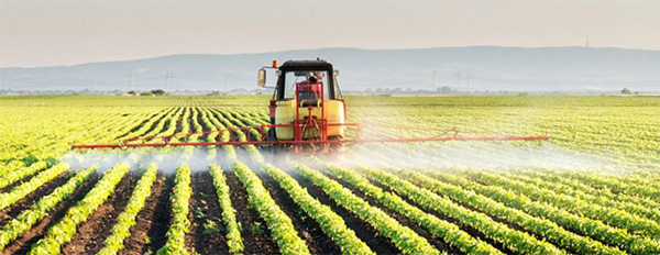 Soybean planted area in Brazil