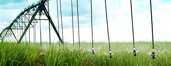 Sugarcane planted area in Brazil