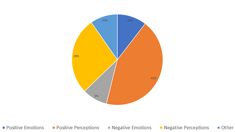 Figure 3-1. Pre-Assessment Comments