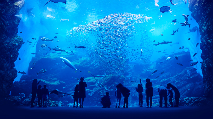 Sendai Umino-Mori Aquarium