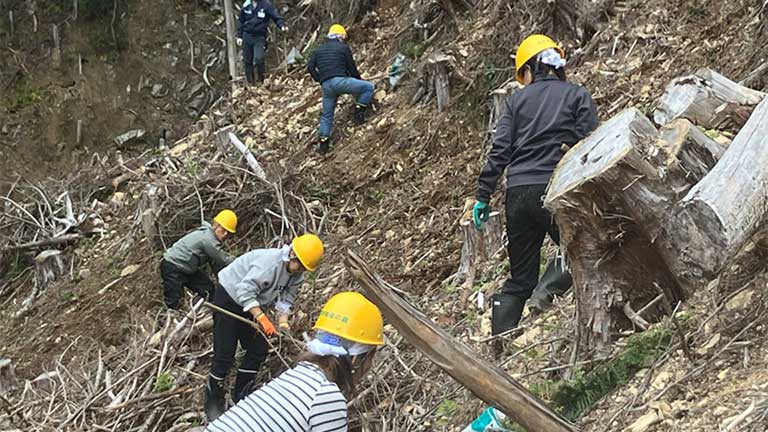 Tree Planting and Pruning Volunteer Program Conducted at Mitsui's Forest (Sando Forest)