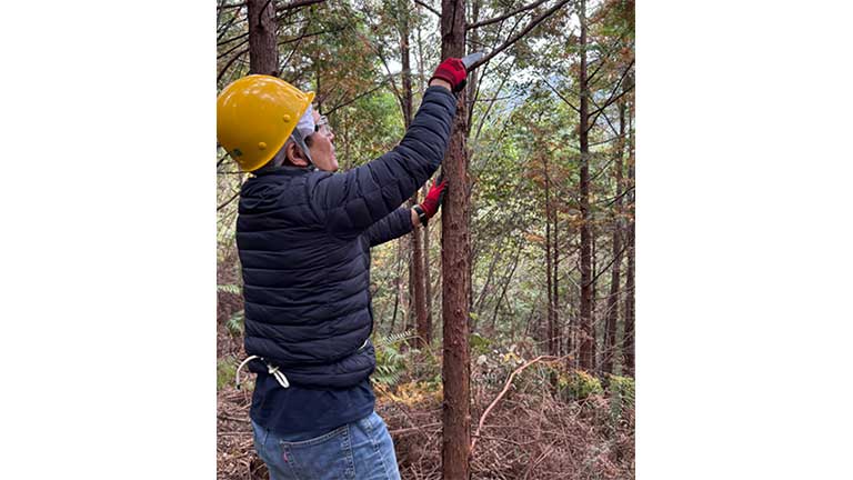 Tree Planting and Pruning Volunteer Program Conducted at Mitsui's Forest (Sando Forest)