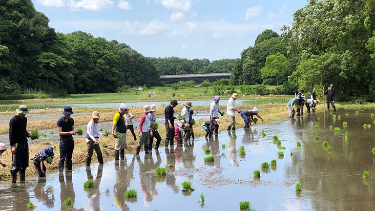 Yatsuda Regeneration Project