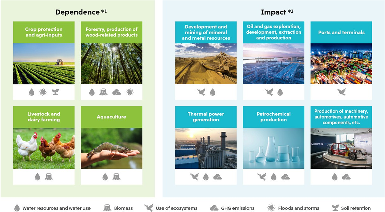 Gaining an Overview of Nature-related Dependencies and Impacts