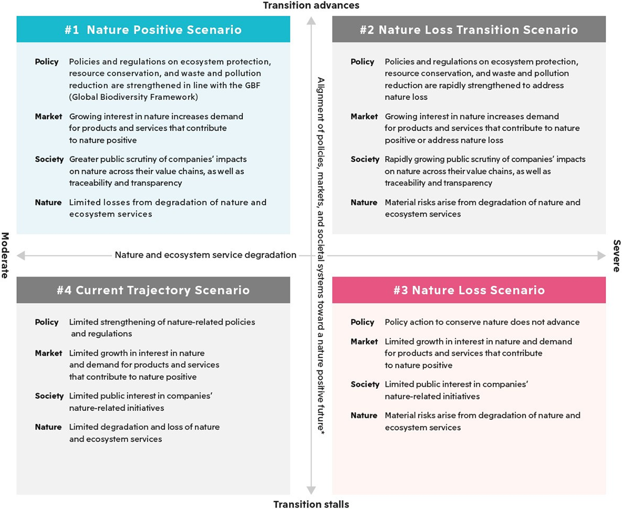 Scenario Analysis across the Company's Key Value Chains