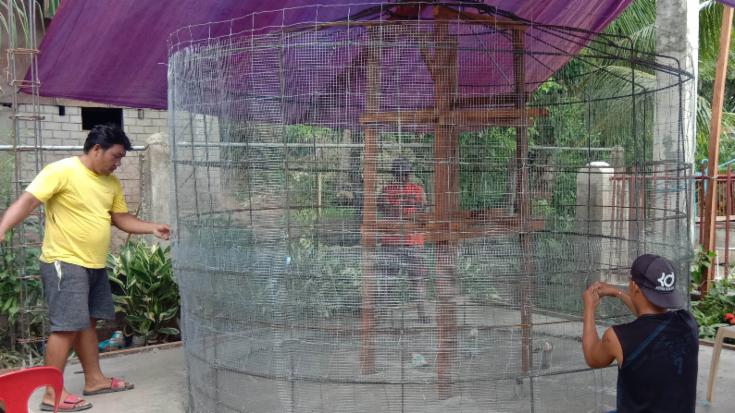 A rainwater storage tank (November 2019)