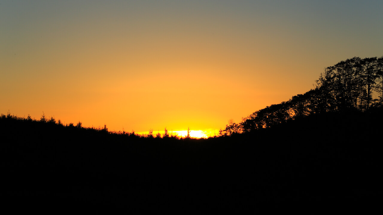 Dusk at Niwan Forest. The sky is painted by the setting sun.