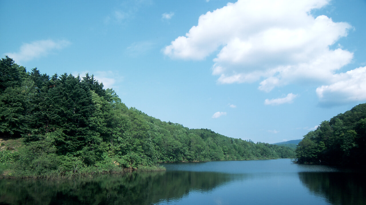 Water from the Numata Forest is also used for agriculture.