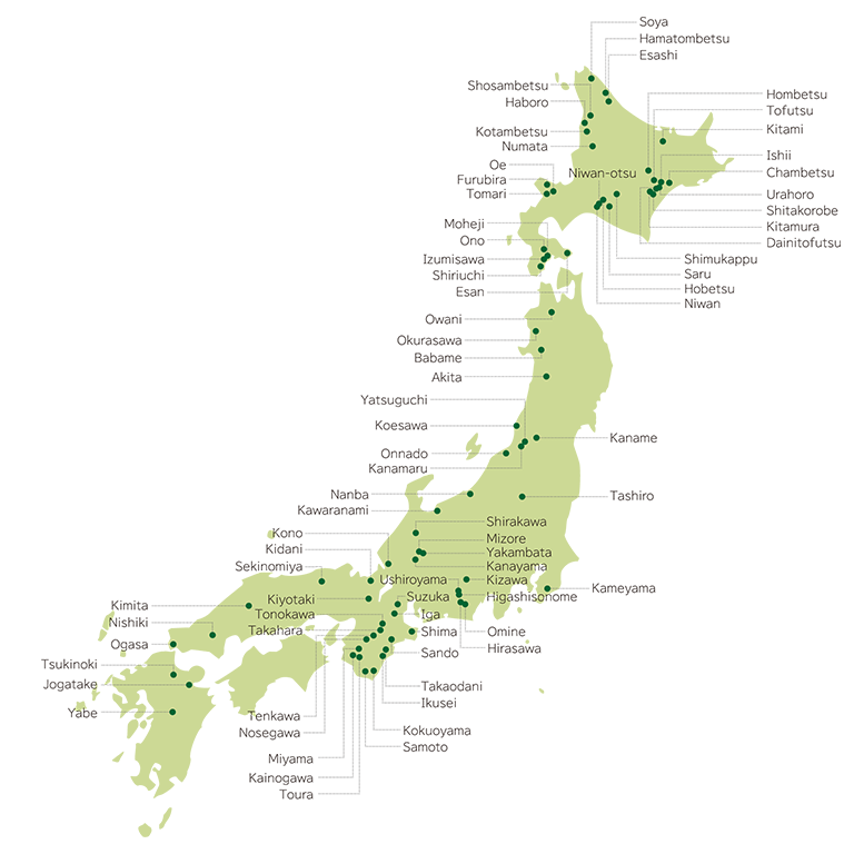 About Mitsui's Forests