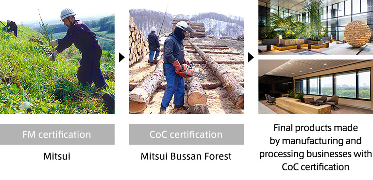 The commercialization process of FSC&reg;-certified lumber