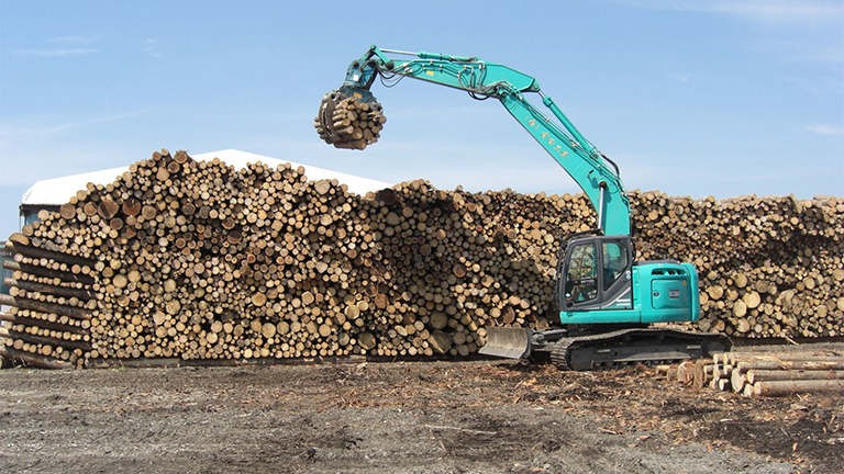 Tomakomai Biomass Power Generation