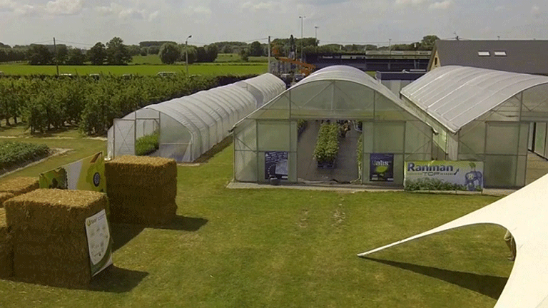 Trial field (Belgium)