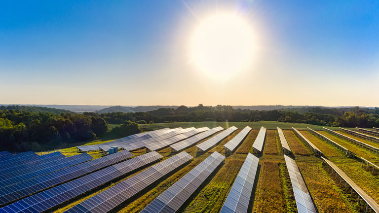 Image of a solar farm