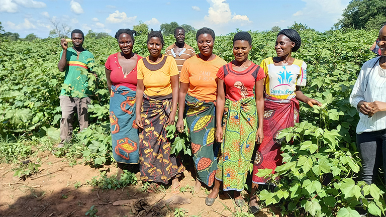 Zambian cotton farmers