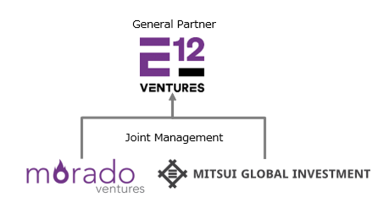 Partnership Structure of E12 Ventures