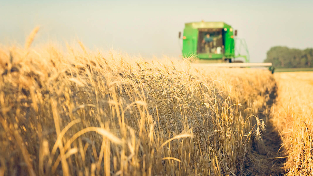 米国とアジアをつないで実現する、「おいしい」食生活