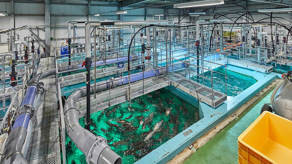 陸上から生まれる水産物で海に依存しない安定生産を