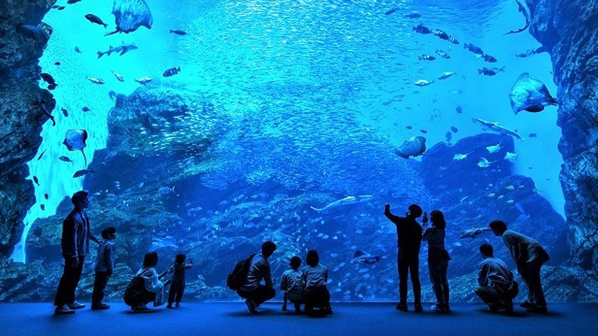 水族館で地域のあしたをつくる