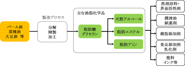 一般的な油脂化学品の製造プロセスと主な用途
