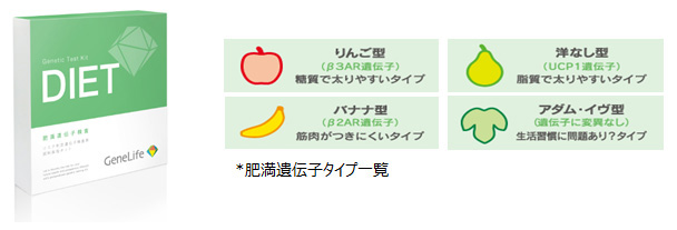 肥満遺伝子に関する検査