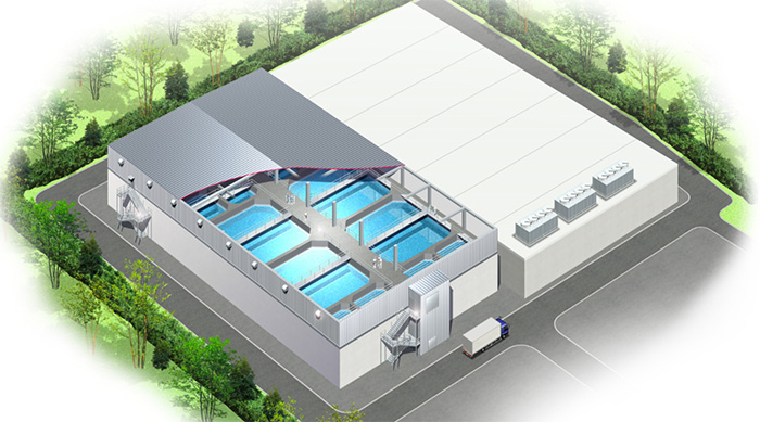 商業プラント 完成予想図
