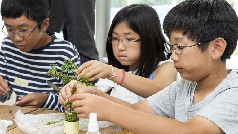 ヒノキの枝・葉・実を使ったエアフレッシュナーづくり