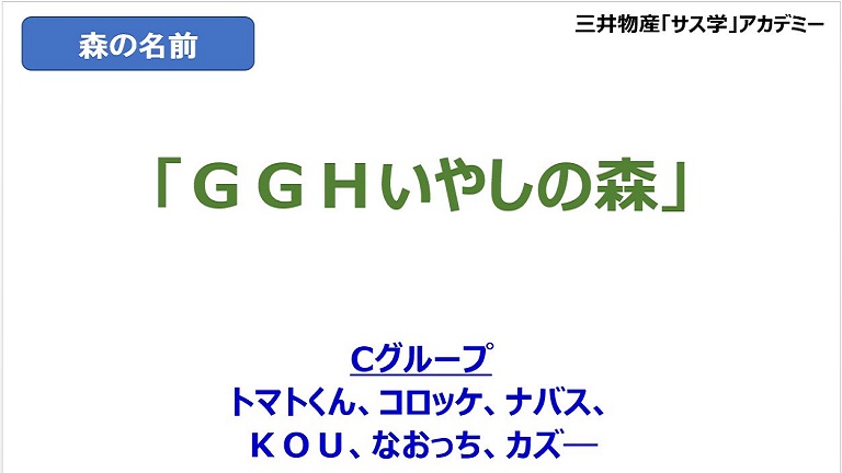 （人口百万人以上の）メガシティ