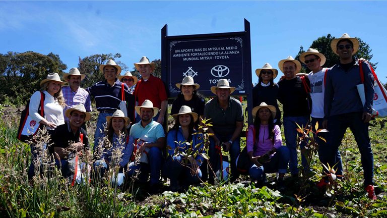 コロンビアにおける植林活動