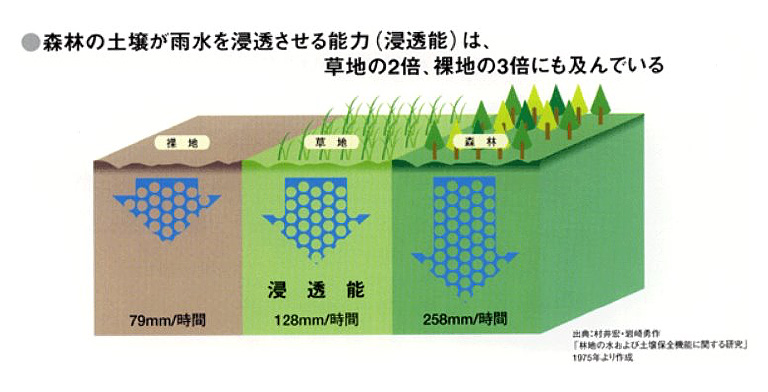 水を育む森林のはなし