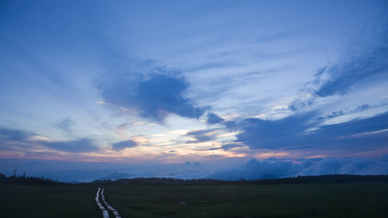早朝の高層湿原はとても幻想的です。