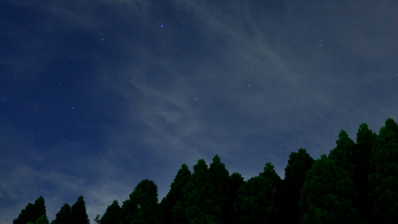 真夏の夜の亀山山林。東京近郊の山ですが、夜は過ごしやすいほどにまで気温が下がります。